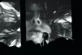 Sergey Kolosov's photo