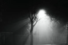 Sergey Kolosov's photo