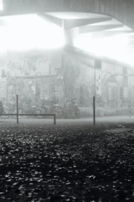 Sergey Kolosov's photo