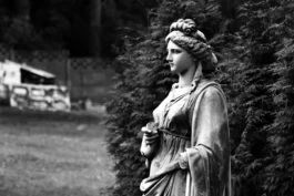  Sergey Kolosov's photo