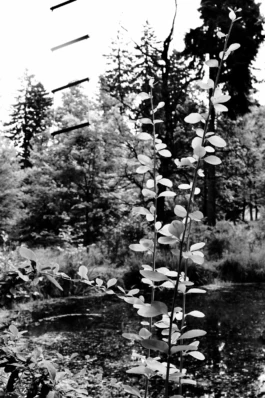  Sergey Kolosov's photo