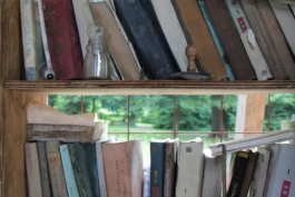  Sergey Kolosov's photo