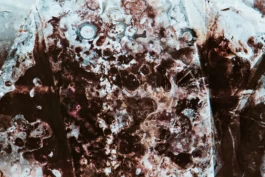  Sergey Kolosov's photo