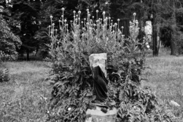  Sergey Kolosov's photo