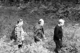  Sergey Kolosov's photo