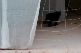  Sergey Kolosov's photo