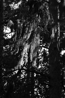  Sergey Kolosov's photo