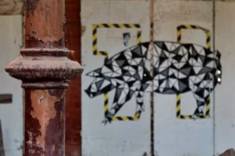  Sergey Kolosov's photo