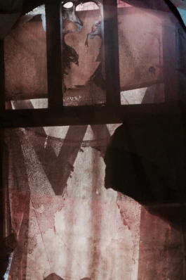  Sergey Kolosov's photo