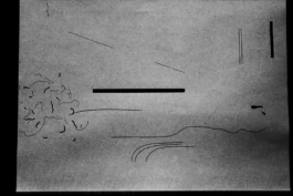  Sergey Kolosov's photo