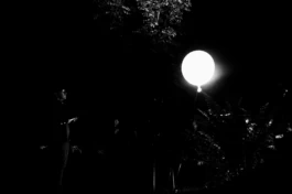  Sergey Kolosov's photo