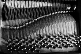 Sergey Kolosov's photo