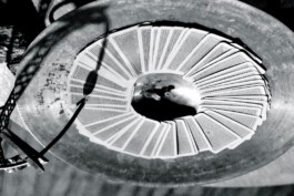  Sergey Kolosov's photo