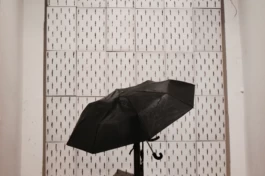  Sergey Kolosov's photo