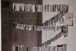  Sergey Kolosov's photo