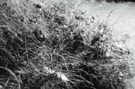  Sergey Kolosov's photo