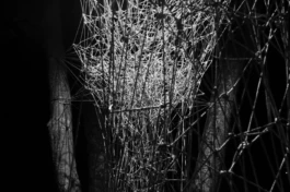  Sergey Kolosov's photo