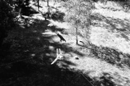  Sergey Kolosov's photo