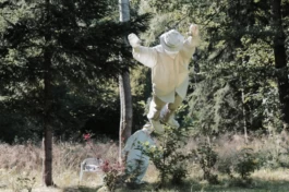  Sergey Kolosov's photo