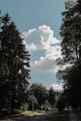  Sergey Kolosov's photo