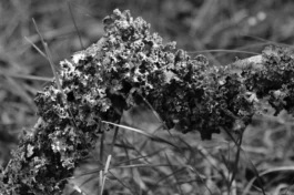  Sergey Kolosov's photo