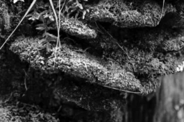  Sergey Kolosov's photo