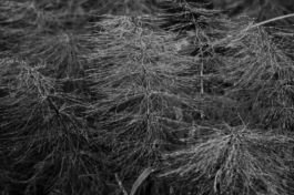  Sergey Kolosov's photo