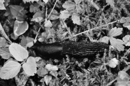  Sergey Kolosov's photo