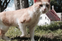  Sergey Kolosov's photo