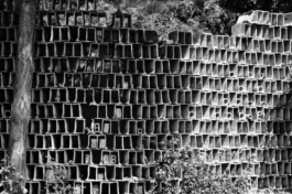  Sergey Kolosov's photo