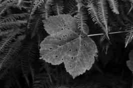  Sergey Kolosov's photo