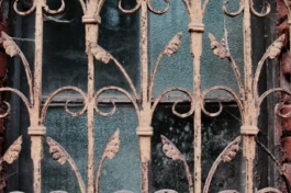  Sergey Kolosov's photo