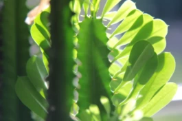  Sergey Kolosov's photo