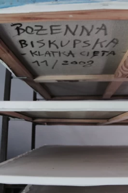  Sergey Kolosov's photo