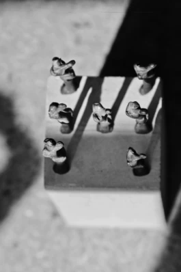  Sergey Kolosov's photo