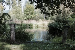  Sergey Kolosov's photo