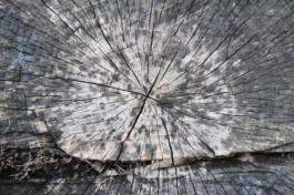  Sergey Kolosov's photo