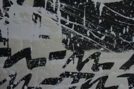  Sergey Kolosov's photo