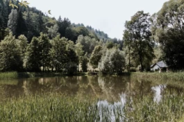  Sergey Kolosov's photo