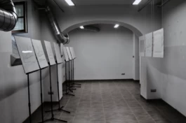  Sergey Kolosov's photo