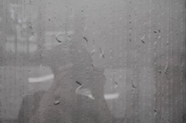  Sergey Kolosov's photo