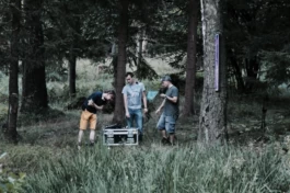  Sergey Kolosov's photo