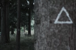  Sergey Kolosov's photo