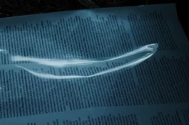  Sergey Kolosov's photo