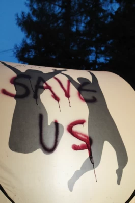  Sergey Kolosov's photo