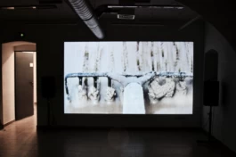  Sergey Kolosov's photo