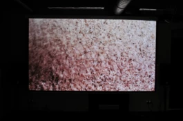  Sergey Kolosov's photo