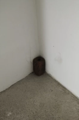  Sergey Kolosov's photo