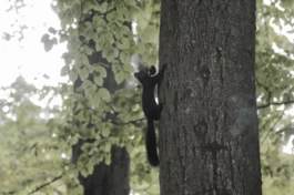  Sergey Kolosov's photo