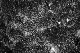  Sergey Kolosov's photo